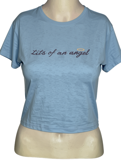 Tits of an Angel Embroidered Crop Tee