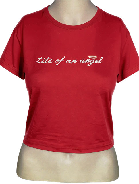 Tits of an Angel Embroidered Crop Tee