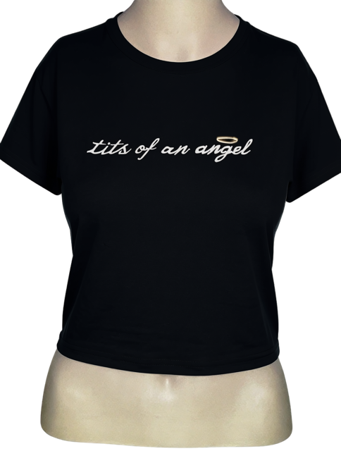 Tits of an Angel Embroidered Crop Tee